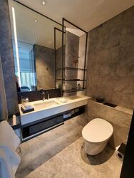 Cuscaden Reserve (D10), Condominium #496188231